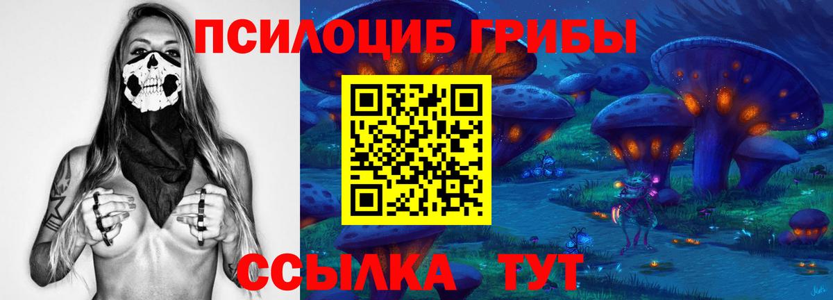 Псилоцибиновые грибы Psilocybine cubensis  Псилоцибиновые грибы мухоморы  Вход с VPN  Киселёвск 